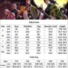kf S35c632c4b7514b4abb3c388c97bdfc8eP - Demon Slayer Store